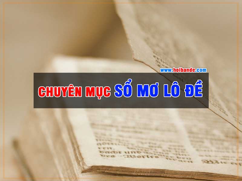 Sổ mơ lô đề - Chuyên mục giải mã giấc mơ của lô đề online