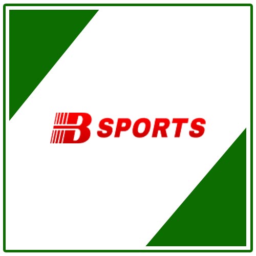 logo bsport