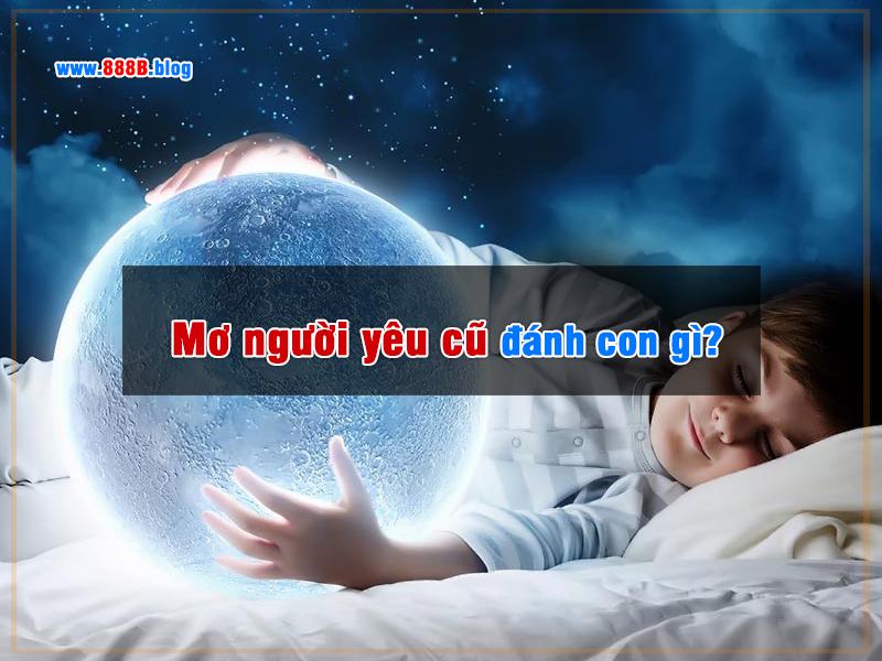 Mơ thấy người yêu cũ đánh con gì?