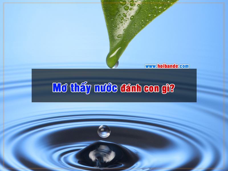 Mơ thấy nước đánh con gì