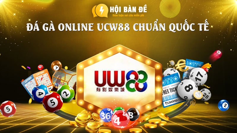 Top 10 nhà cái đá gà online: Review sân chơi uy tín | Link đăng ký tài khoản mới nhất!